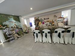 -宝生月子中心·私家园林式(龙华观澜店)