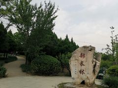 -北坞公园
