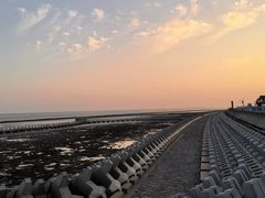 -南汇嘴观海公园