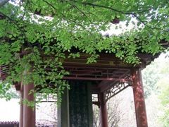 -碑林公园