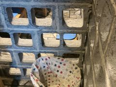 -破瓦寒窑·地摊烤羊排