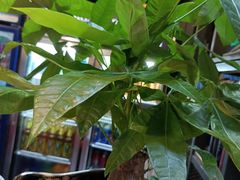 -湘当爱·鲜煮现炒(松岗立业路店)