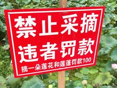 -红山村