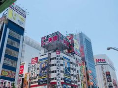 -秋叶原电器街