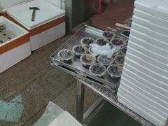 -安海长火土笋冻