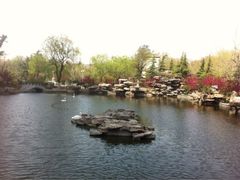 iphone_upload_pic-山东大厦