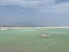 -盐湖景区