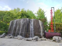 -合肥滨湖国家森林公园