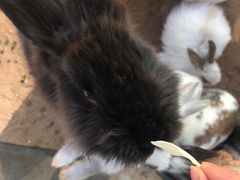 -鄂尔多斯野生动物园