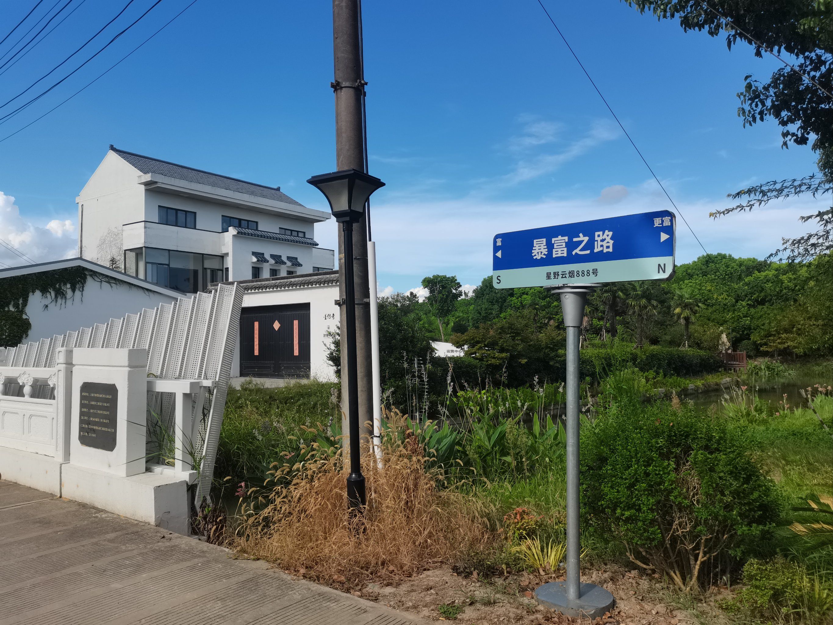 奉贤金汇镇的千亩森林氧吧
