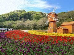 -苏州上方山国家森林公园
