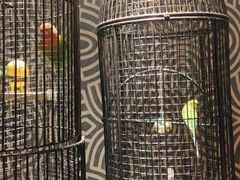 -北京丽亭华苑酒店·四季中餐厅(知春路店)