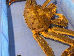 -蟹后Crabber(水悦城店)