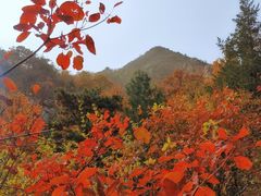 -北京鹫峰国家森林公园