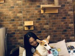 -more than meow吴止猫主题餐厅(承德 中船汇店)