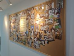 -翊宠yipet猫狗购宠庄园犬舍•猫舍