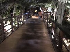 -花之城