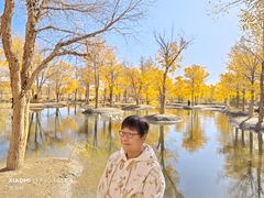 -金塔沙漠胡杨林景区