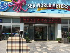 -天山海世界·米立方