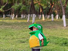 -长白岛森林公园