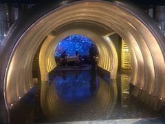 -迪拜帆船酒店海底餐厅