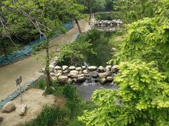 -白水寺森林公园