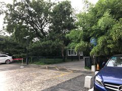 -紫竹院公园-东门停车场