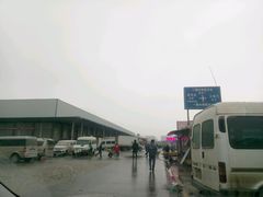-白沙洲农产品大市场海鲜交易区