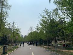 -长白岛森林公园