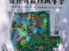 -上海共青森林公园