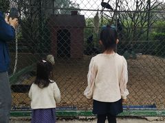 -南宁荔园维景国际酒店·荔园中餐厅