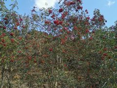 -福清灵石山国家森林公园
