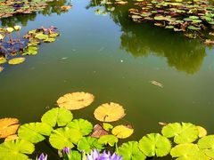 -国家植物园南园