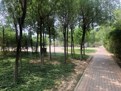 -大港湿地公园