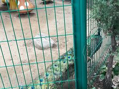 -北京美神宫艺术主题温泉酒店