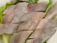 -金砂阿洲鱼册店