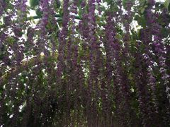 -芜湖方特东方神画