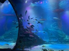 -沈阳海洋探索中心