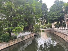 -荔湾湖公园