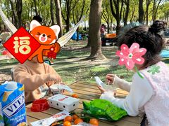 -嘉北郊野公园