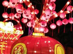 -南宫五洲植物乐园