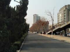 -山东师范大学(千佛山校区)