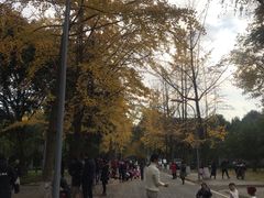 -四川大学(望江校区)