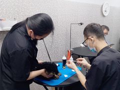 -宠物家(角门东店)