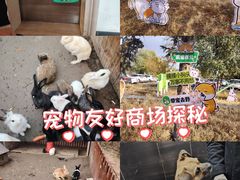 -枫叶小镇奥特莱斯