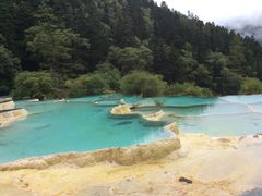 -黄龙山原始森林景区