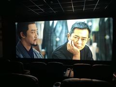 -保定金棕榈先天下国际影城(LUXE)