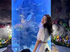 -南昌海洋公园