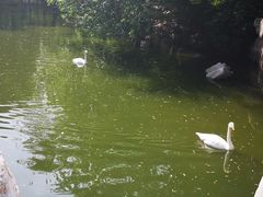 景点-北京动物园