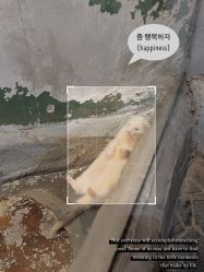 -Zoolung Zoolung动物主题公园(海信广场店)